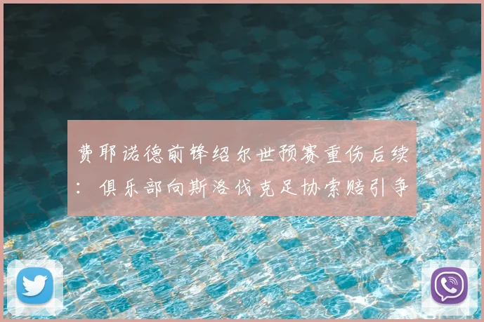 费耶诺德前锋绍尔世预赛重伤后续：俱乐部向斯洛伐克足协索赔引争议，国际足联相关条款解读