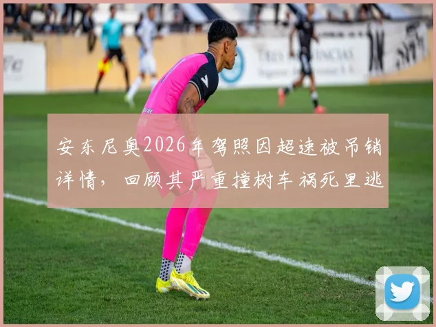 安东尼奥2026年驾照因超速被吊销详情,回顾其严重撞树车祸死里逃生经历及事件全解析