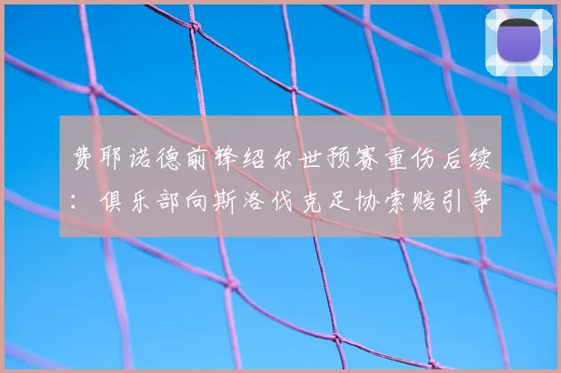 费耶诺德前锋绍尔世预赛重伤后续：俱乐部向斯洛伐克足协索赔引争议，国际足联相关条款解读
